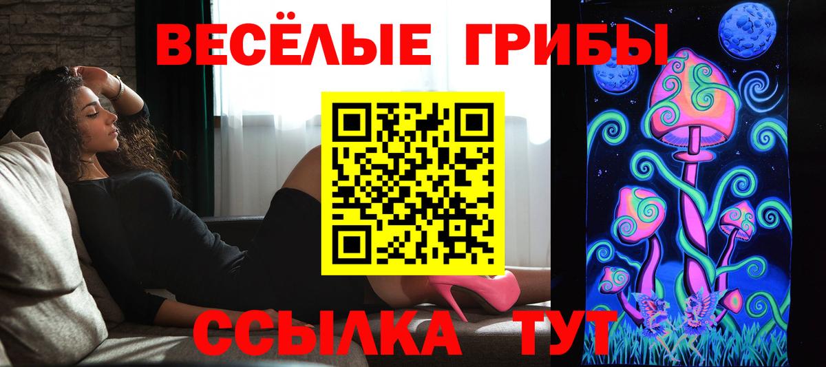 Псилоцибиновые грибы мицелий Анжеро-Судженск