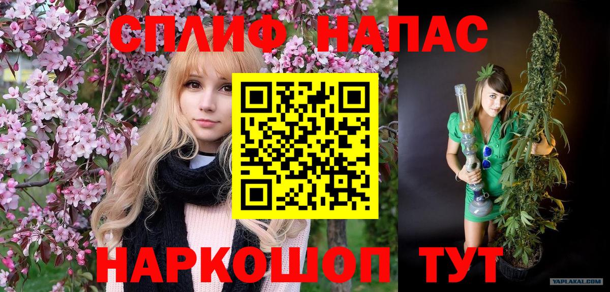 Канабис конопля Анжеро-Судженск